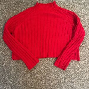American Eagle Outfitters Red Ribbed Cropped Turtleneck Sweater